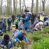 Bunte Blumenbeete im Tiergarten - Schüler der Goetheschule starten Früh-jahrsputz