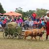 Harzer Landwirtschaftsfest kommt nach Halberstadt