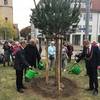 Drei Bäume für Deutschlands Einheit und Denkmal für die Leistungen der Bürger Halberstadts