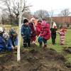 Kinder pflanzen einen Baum