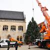 Weihnachtsbaum auf dem Holzmarkt in Halberstadt aufgestellt