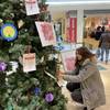 Halberstädter Wunschweihnachtsbaum wird eröffnet