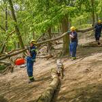 [(c): Stadt Halberstadt/Tiergarten Halberstadt/David Neubert]