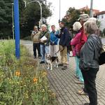 [(c): Stadtverwaltung Halberstadt/Abteilung Stadtgrün]