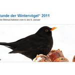 Die Stunde der Wintervögel 2011