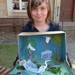Vogel Diorama - Ferienaktion im Heineanum