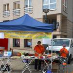 Benefizlauf 2013 - zugunsten krebskranker Kinder - in Halberstadt ; Foto: S. Kranz