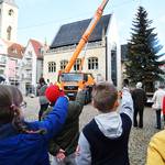 Zwei Weihnachtsbäume für Halberstadt