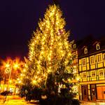 Frohe Weihnachten wünscht die Stadt Halberstadt - Foto: Jens Wisotzky