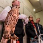 Museumsdirektor Rüdiger Becker lädt am 18. November ein, interessante Präparate im Sammlungsmaga-zin des Vogelkundemuseums zu besuchen