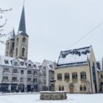 Halberstadt für Einsteiger – eine Stadtführung zur schönsten Zeit des Jahres