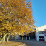 Gleimhaus in der Herbstsonne