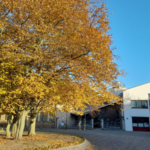 Gleimhaus in der Herbstsonne