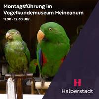 https://www.heineanum.de/var/cache/thumb_305333_1032_1_200_200_r4_jpeg_montagsführung_heineanum_web.jpeg